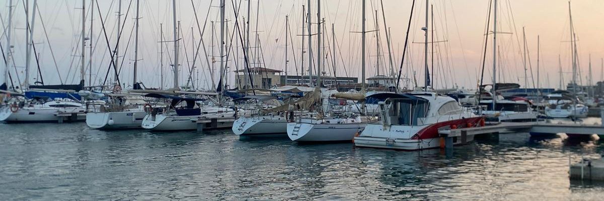 Ricardo Castelló banner