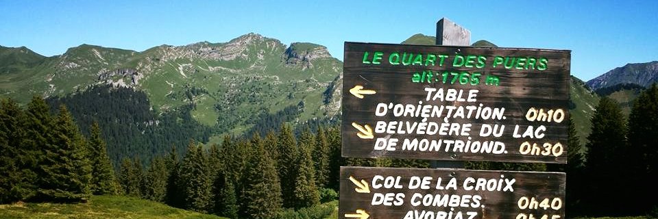 Eleanor Broadbent banner