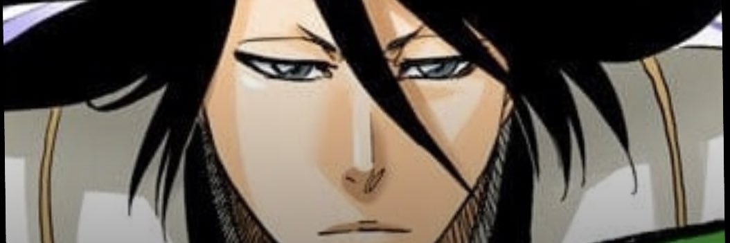 NobleReasons's profile banner image