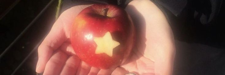 krystal (lost verse version) banner