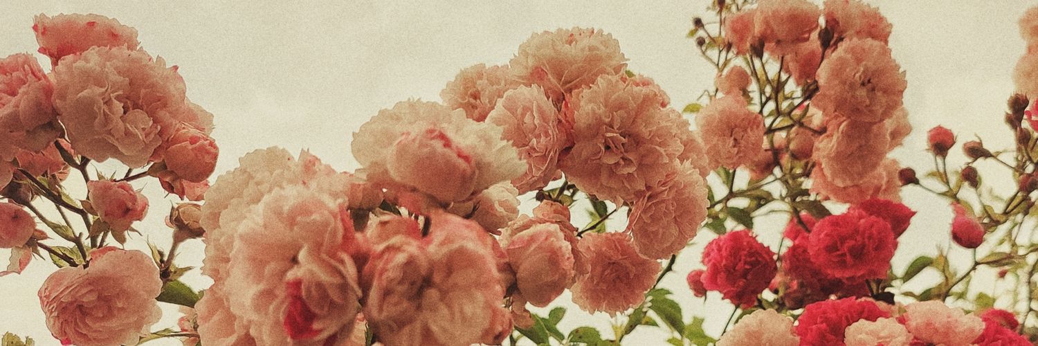 Хтось: у пошуках чогось. banner