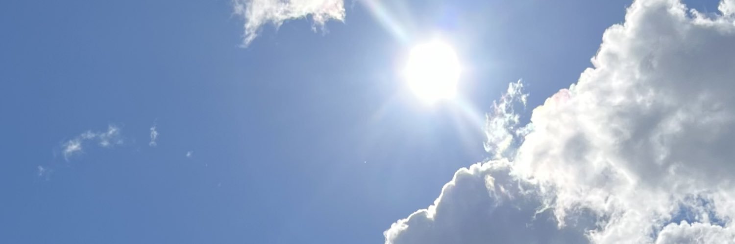 Nesjes's profile banner image