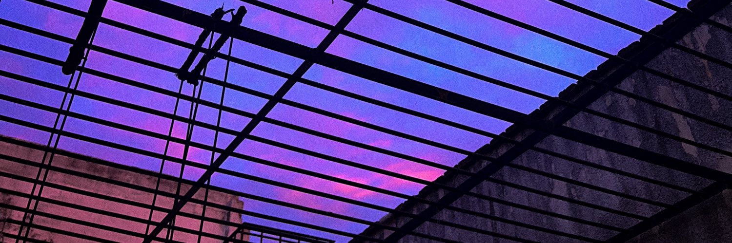 sofia_taibi's profile banner image