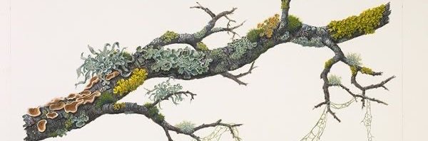 Госпожа Удача banner