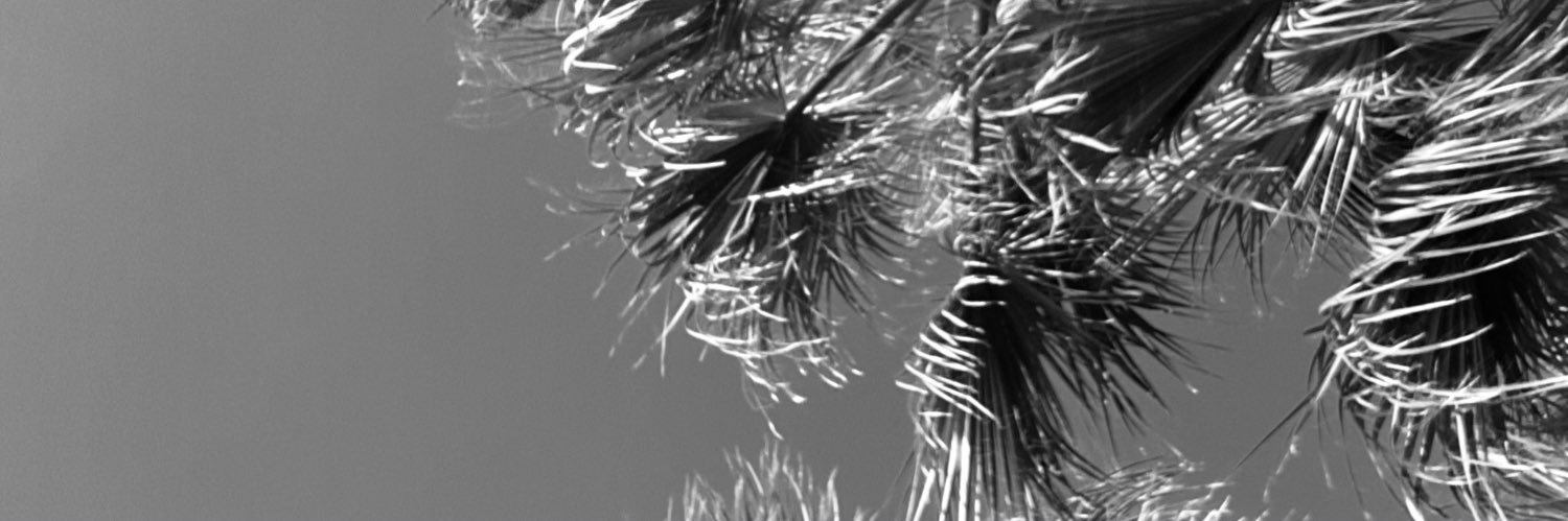 noomedd's profile banner image