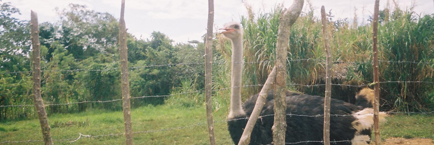 leadvs's profile banner image