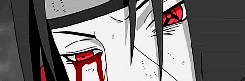 Duke of Tweets ⁶𓅓 banner