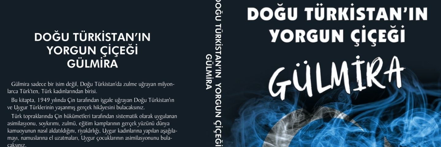 hakverdialtug's profile banner image