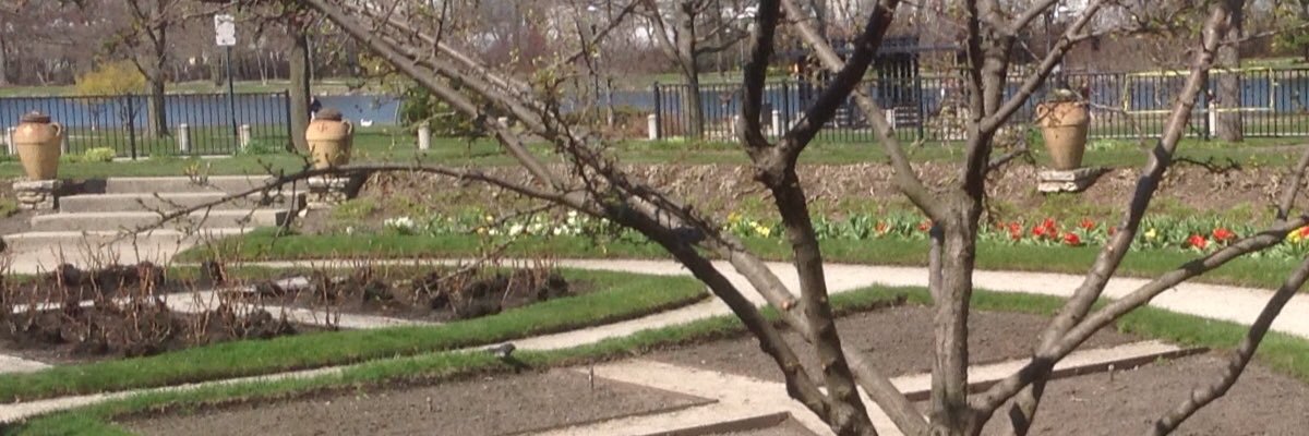 MonicaWhaley1's profile banner image