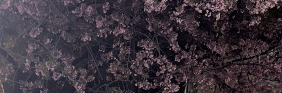 aima_su's profile banner image