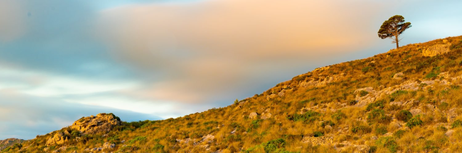 josebarcelo's profile banner image
