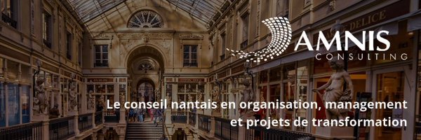 AMNISConsulting Profile Banner