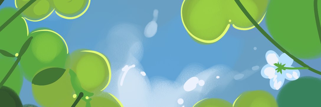 pijontoes's profile banner image