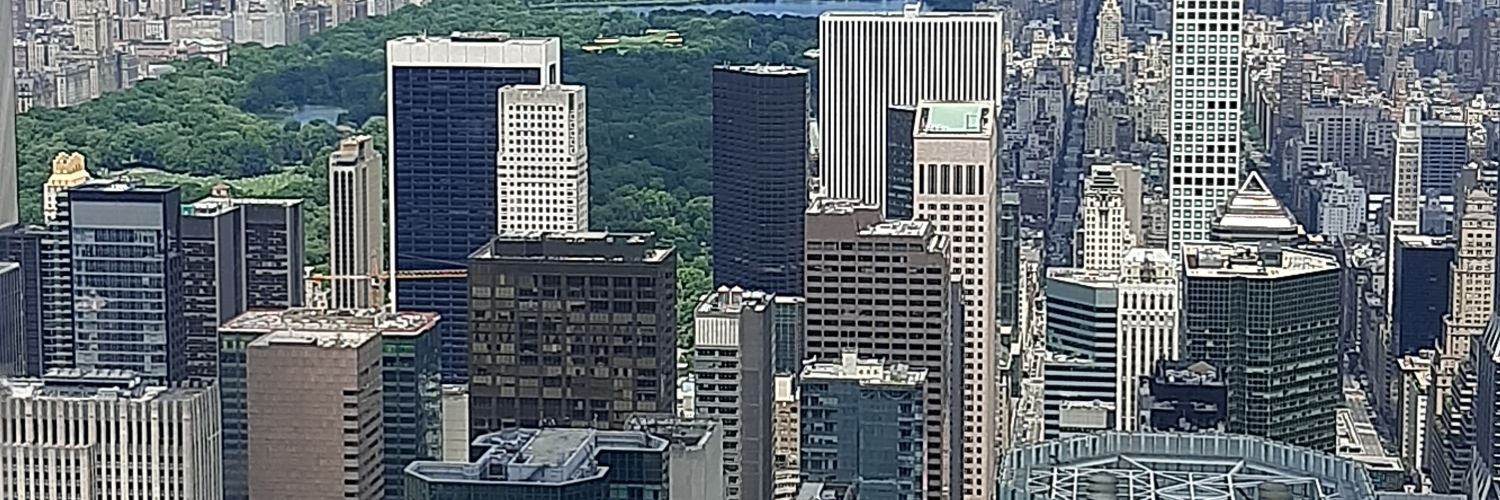 patobrandone's profile banner image