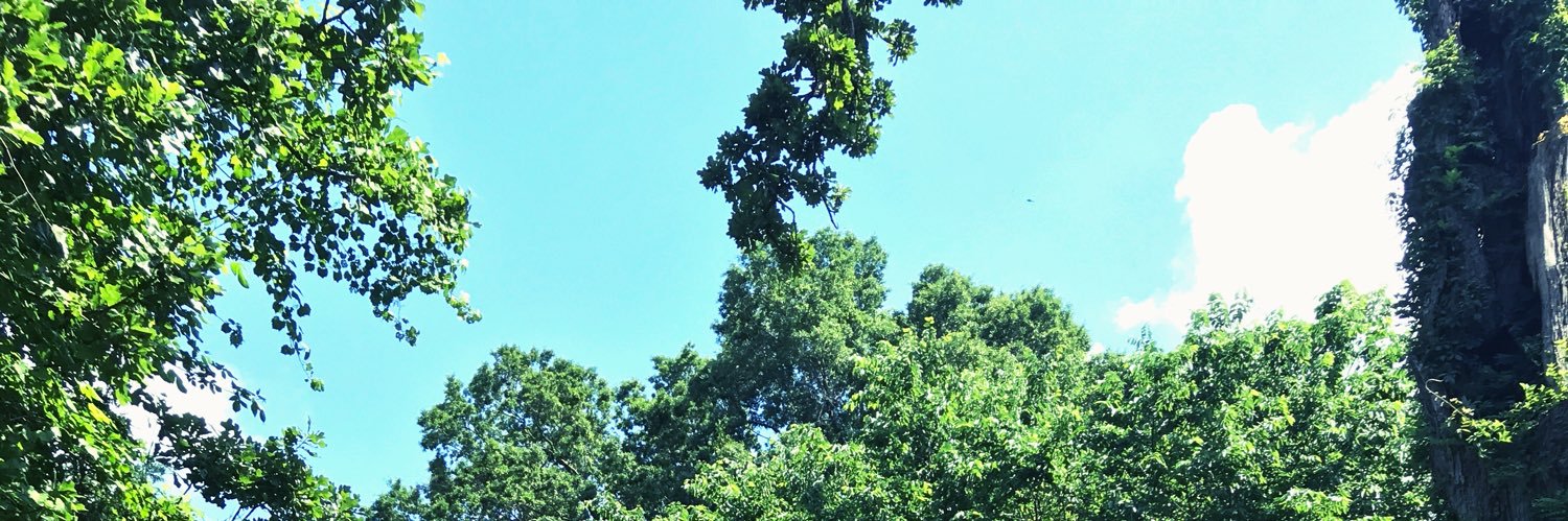 Dr. Michelle Weedman banner