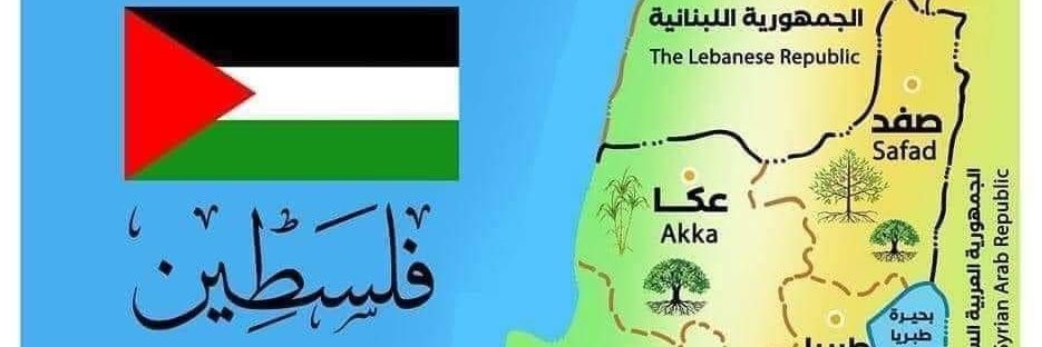 NabilZeggari's profile banner image