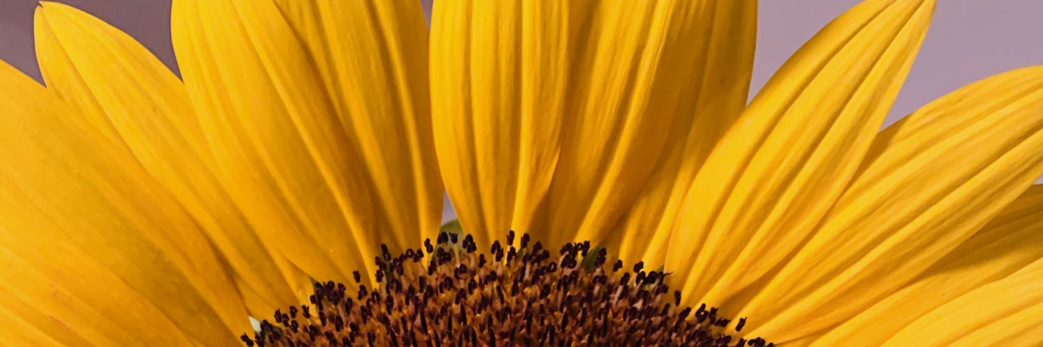 Julia_Hartlaub's profile banner image