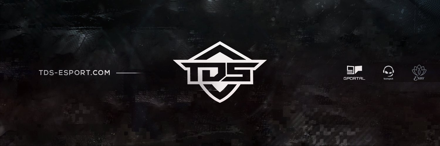 TDS-eSport banner