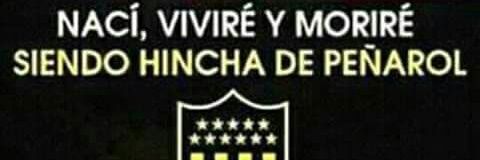 marcelocrai's profile banner image
