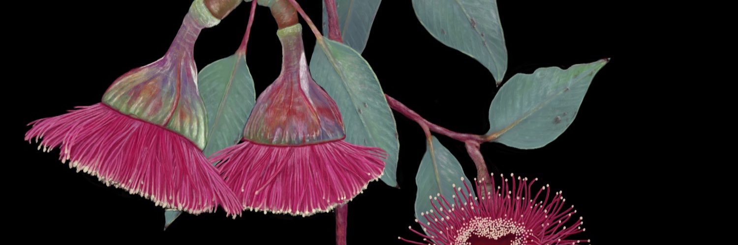 AliceJamesWildArt banner