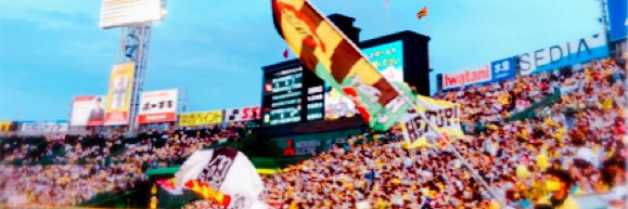 拓真 banner