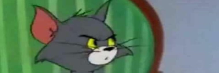Raaijinn's profile banner image