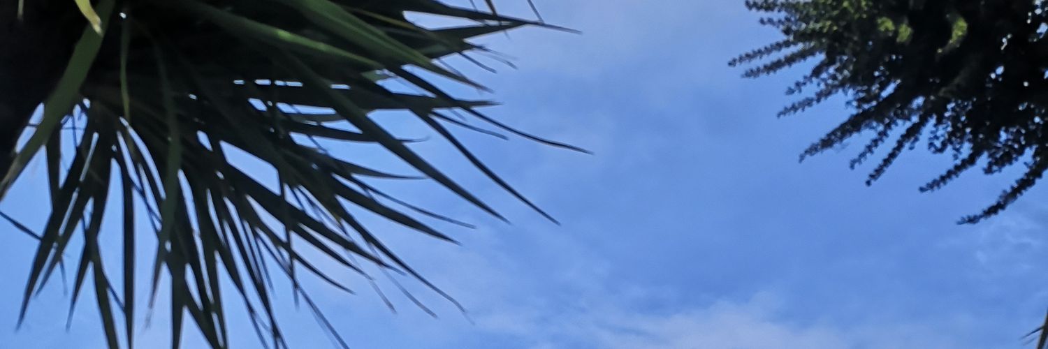 hallicious1's profile banner image