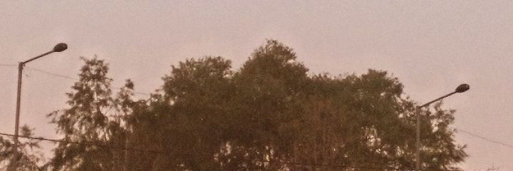 tai banner
