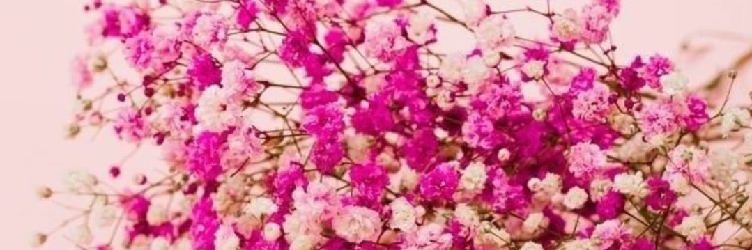 hlymsr's profile banner image