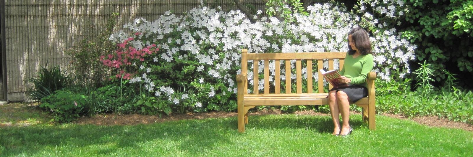 Chappaqua Library banner
