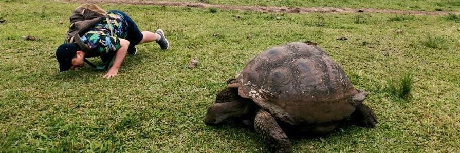 Fernando Ramírez-Gutiérrez banner