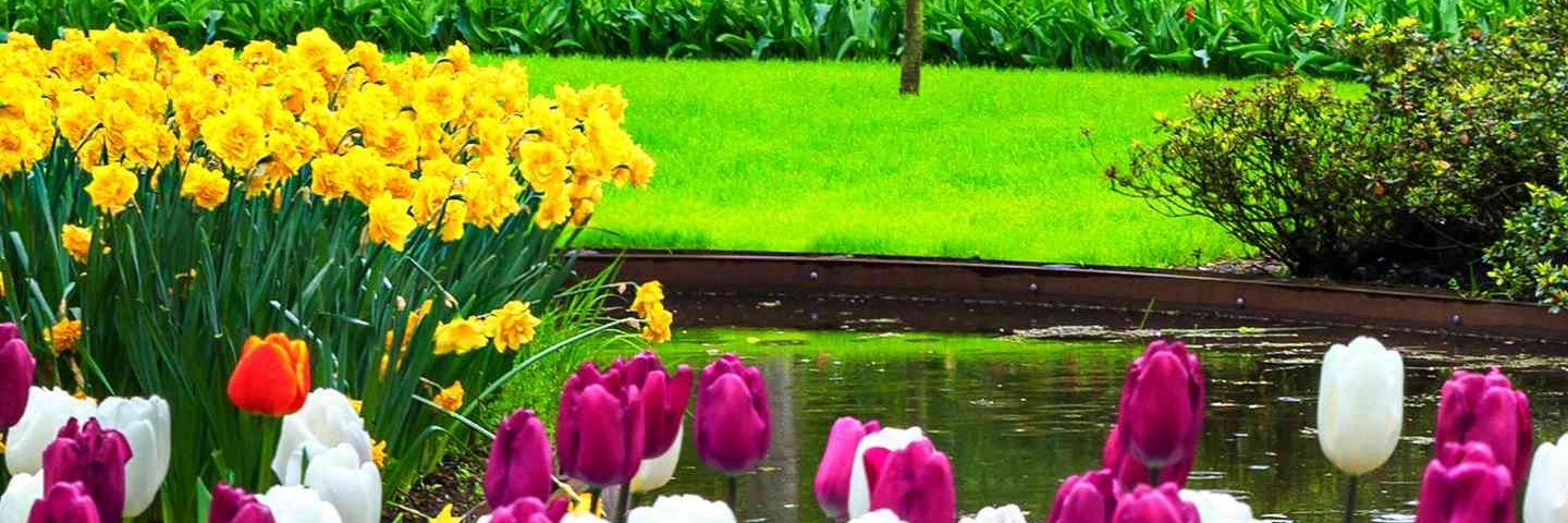Cristina C. 🧡 banner