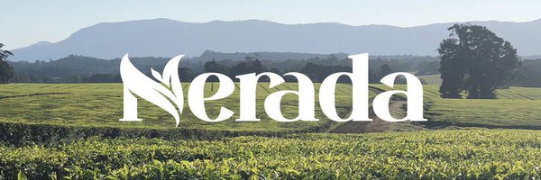 NeradaTea Profile Banner