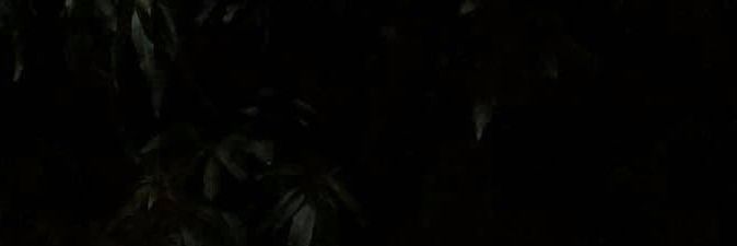 doublewhat___'s profile banner image