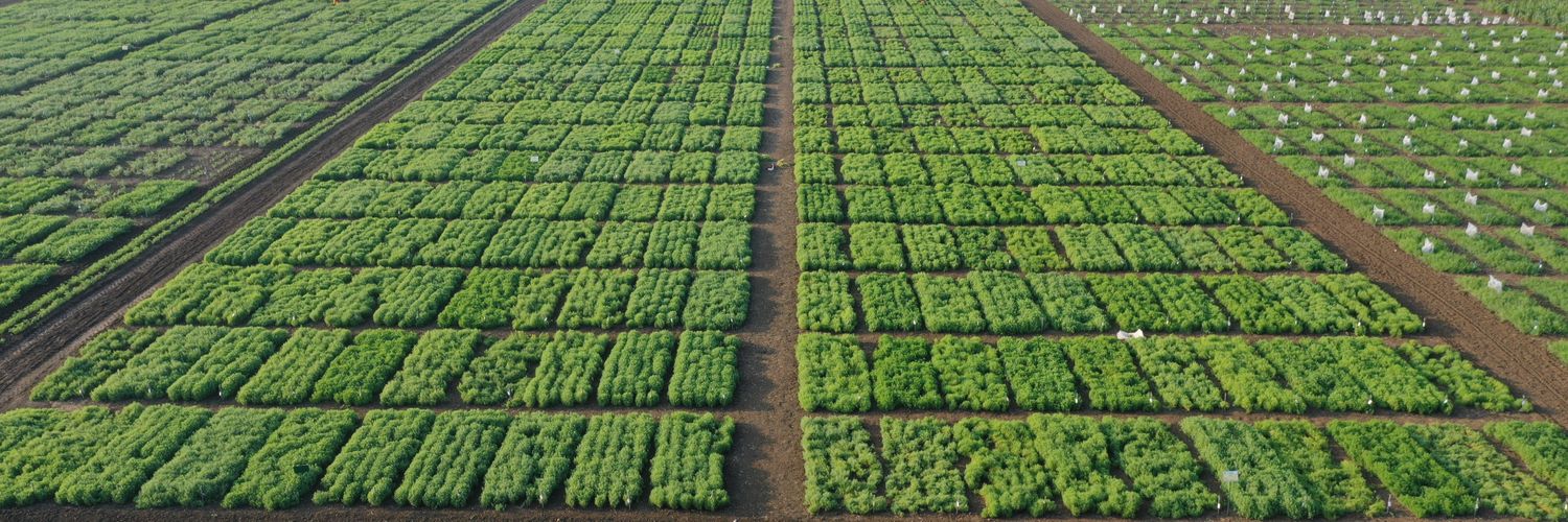 Ashutosh Kumar Yadav banner