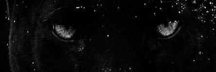 simossimsim's profile banner image