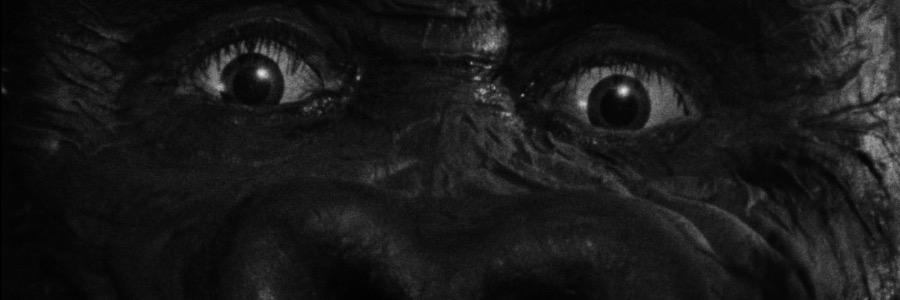 Roberta Cramarossa banner