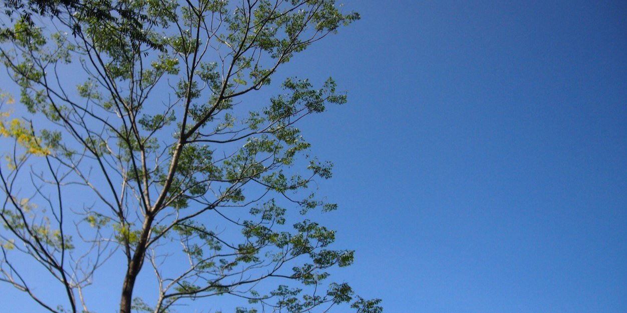 Ladylalit's profile banner image