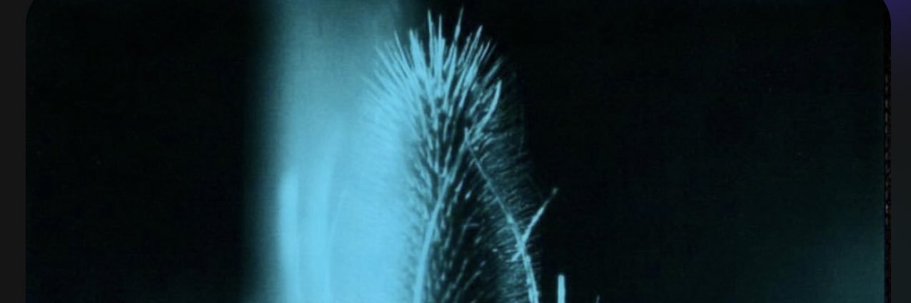 Earl Jeffries banner