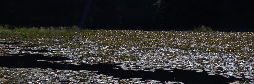 ddaninss's profile banner image