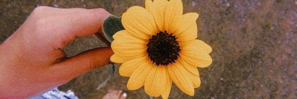 laricolucci's profile banner image