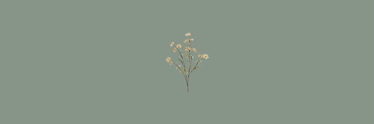 🌱 banner