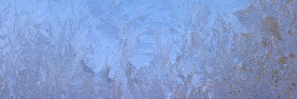 AnneHauswald Profile Banner