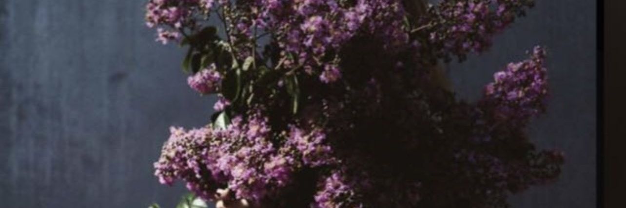 17Roo123's profile banner image