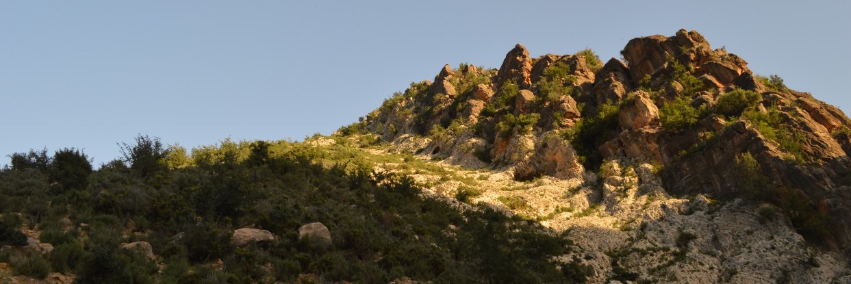 ManuRoquette's profile banner image
