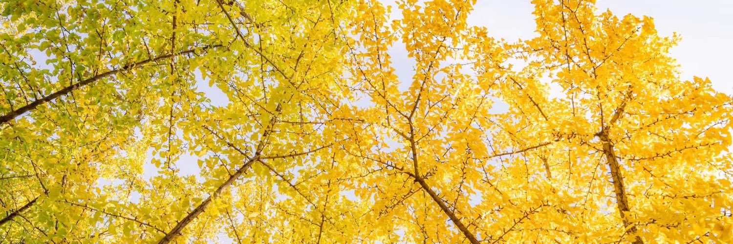 suxiaoxiaoning's profile banner image