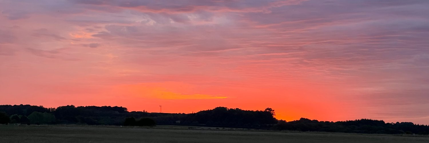 Wild1145's profile banner image