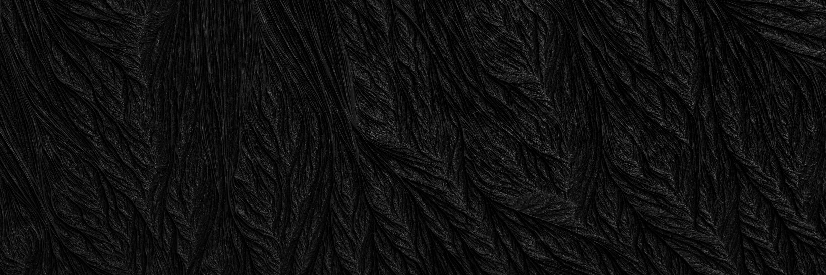 Slvstr_k's profile banner image