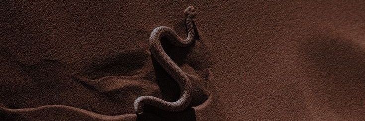 arcbprxnc's profile banner image