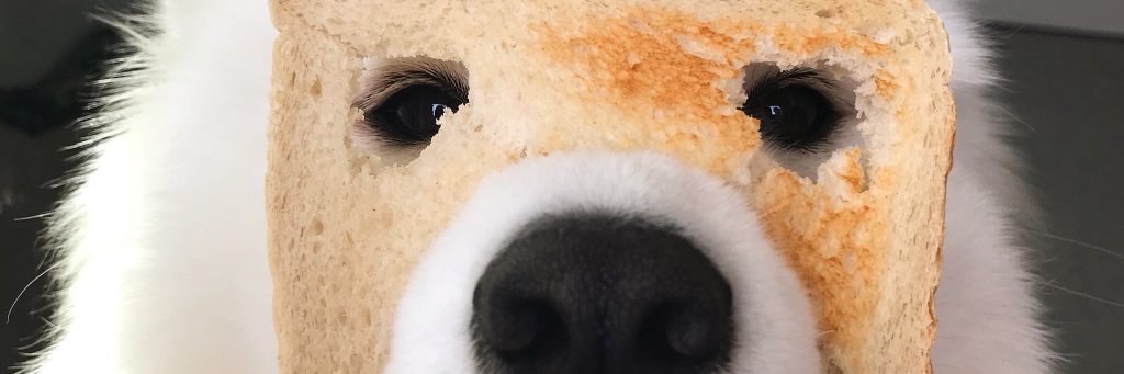 KaceAlexi's profile banner image
